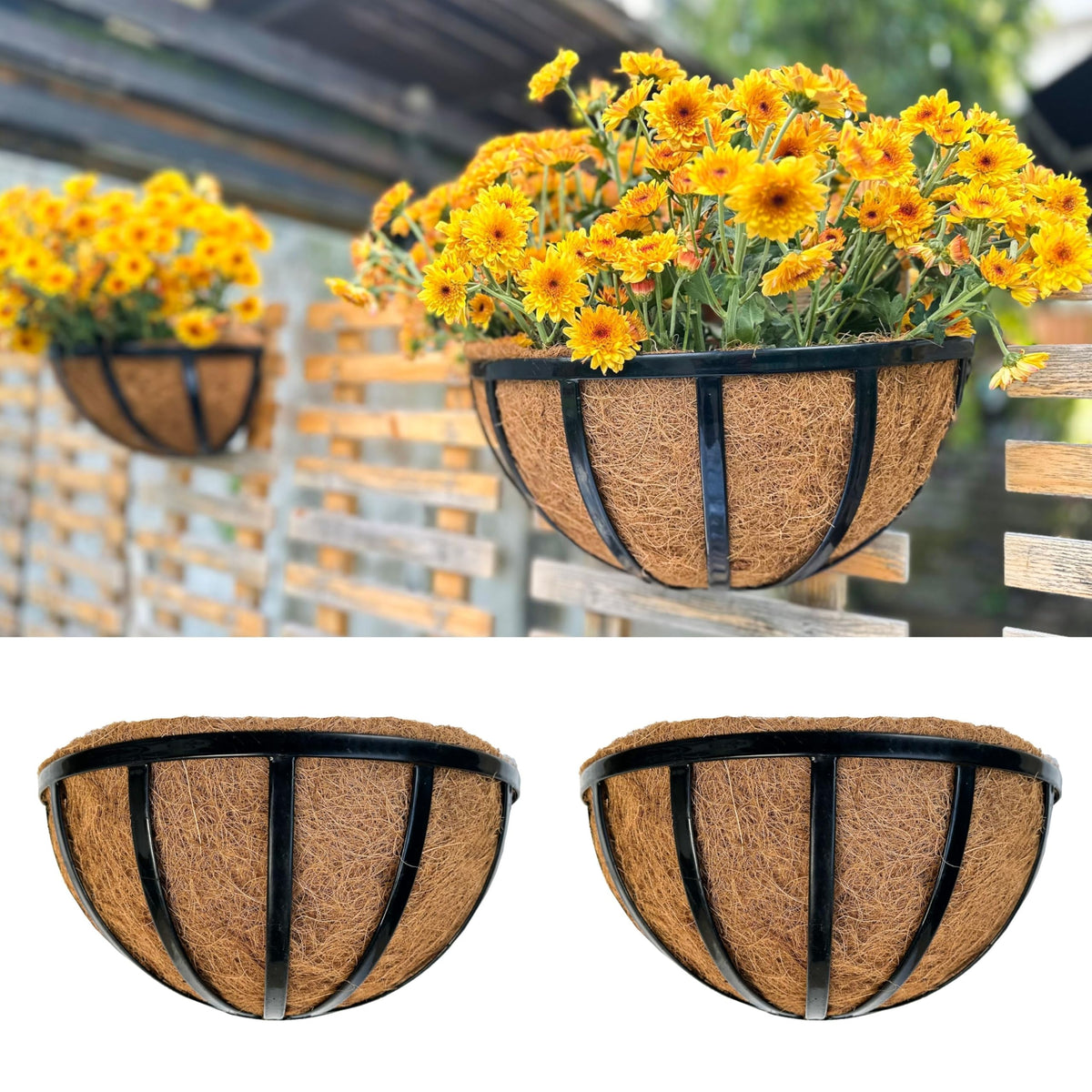 LaLaGreen Black Wall Planter (12 in, 2 Pack) Coco Liner Garden Flower Boxes