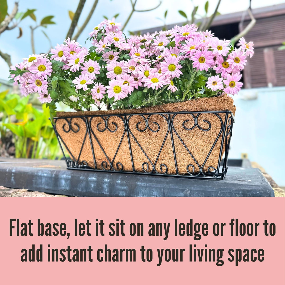 LaLaGreen Wall Planters for Plants (16 in, 4 Pack) Black Metal Flower Box