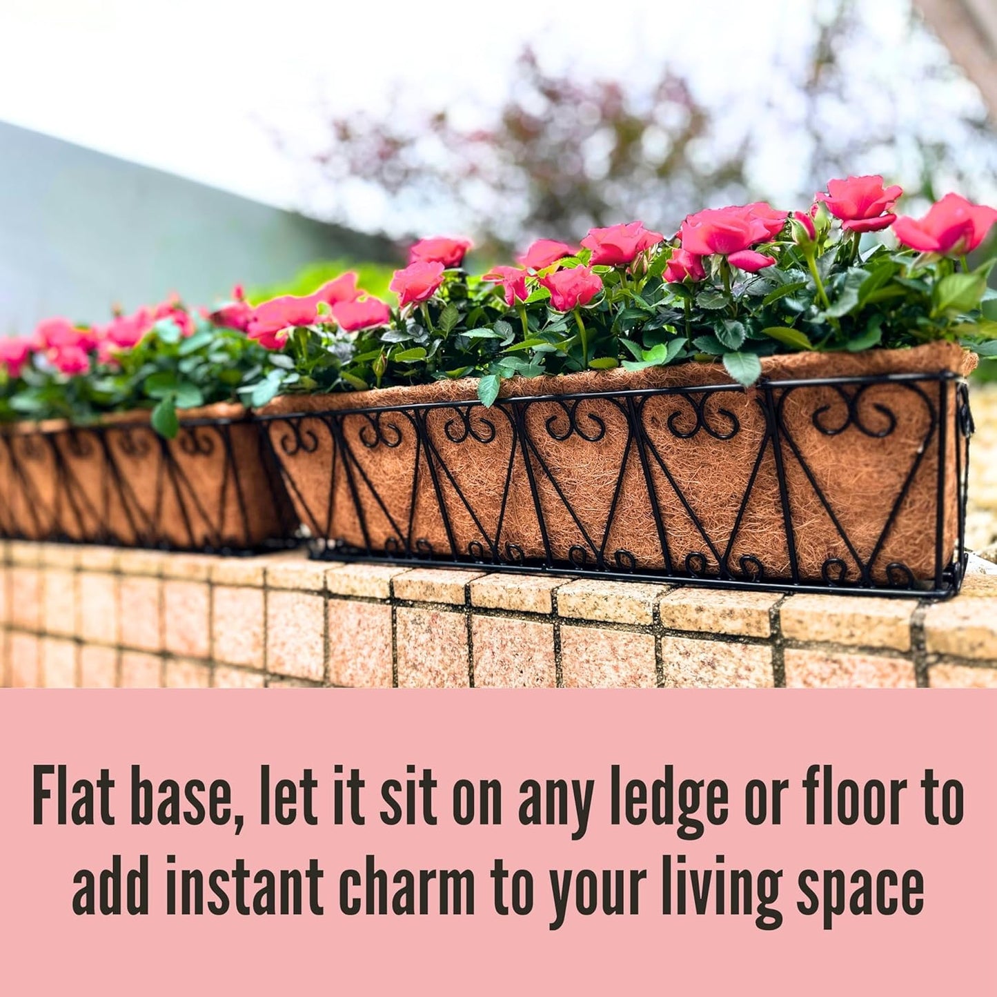 LaLaGreen Wall Planter - 6 Pack, 30 Inch Large Black Window Flower Basket Boxes Outdoor Attach House, Rectangular Deck Railing Hanging Pot with Coco Liner Over Rail Fence Balcony Patio Porch