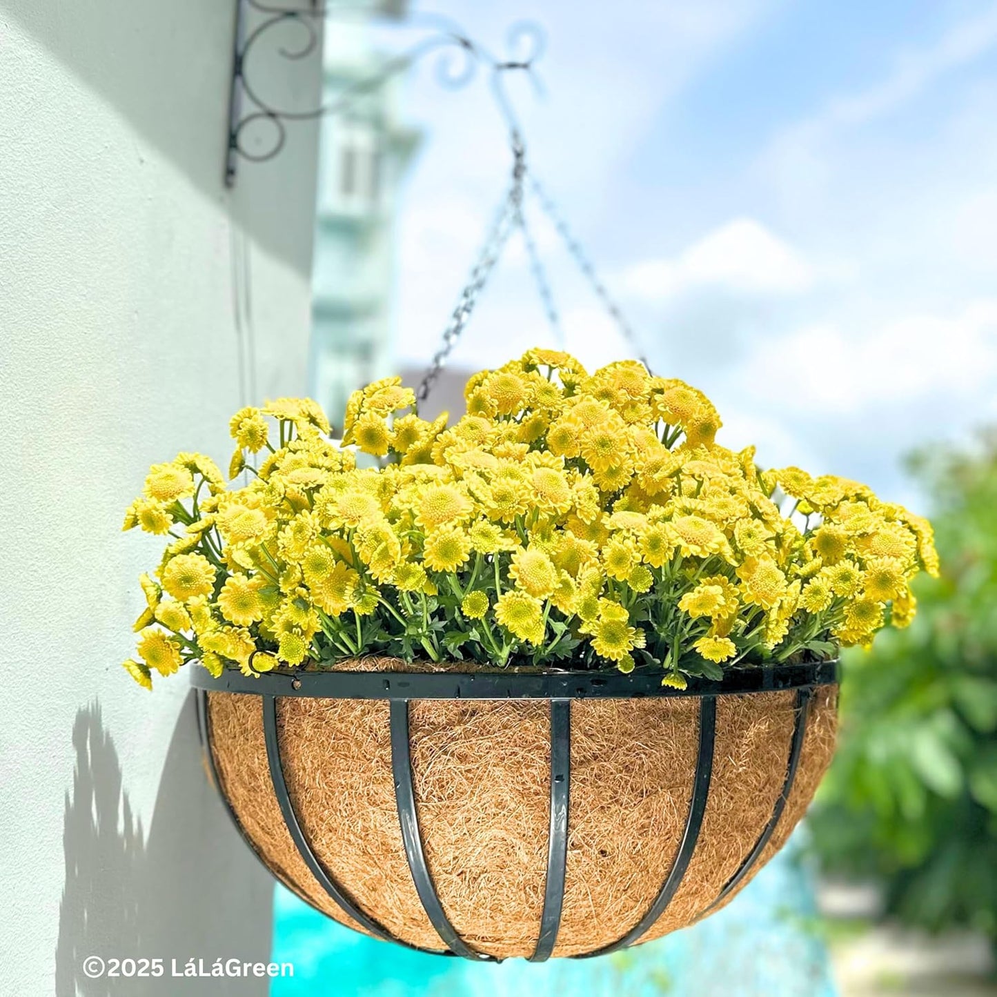 LaLaGreen Outdoor Hanging Baskets for Plants (20 Inch) Extra Large Black Metal Flat Iron Hanging Planter with Coco Liner Round Flower Pot Holder Hanger Deck Porch Modern Garden Balcony Country Decor