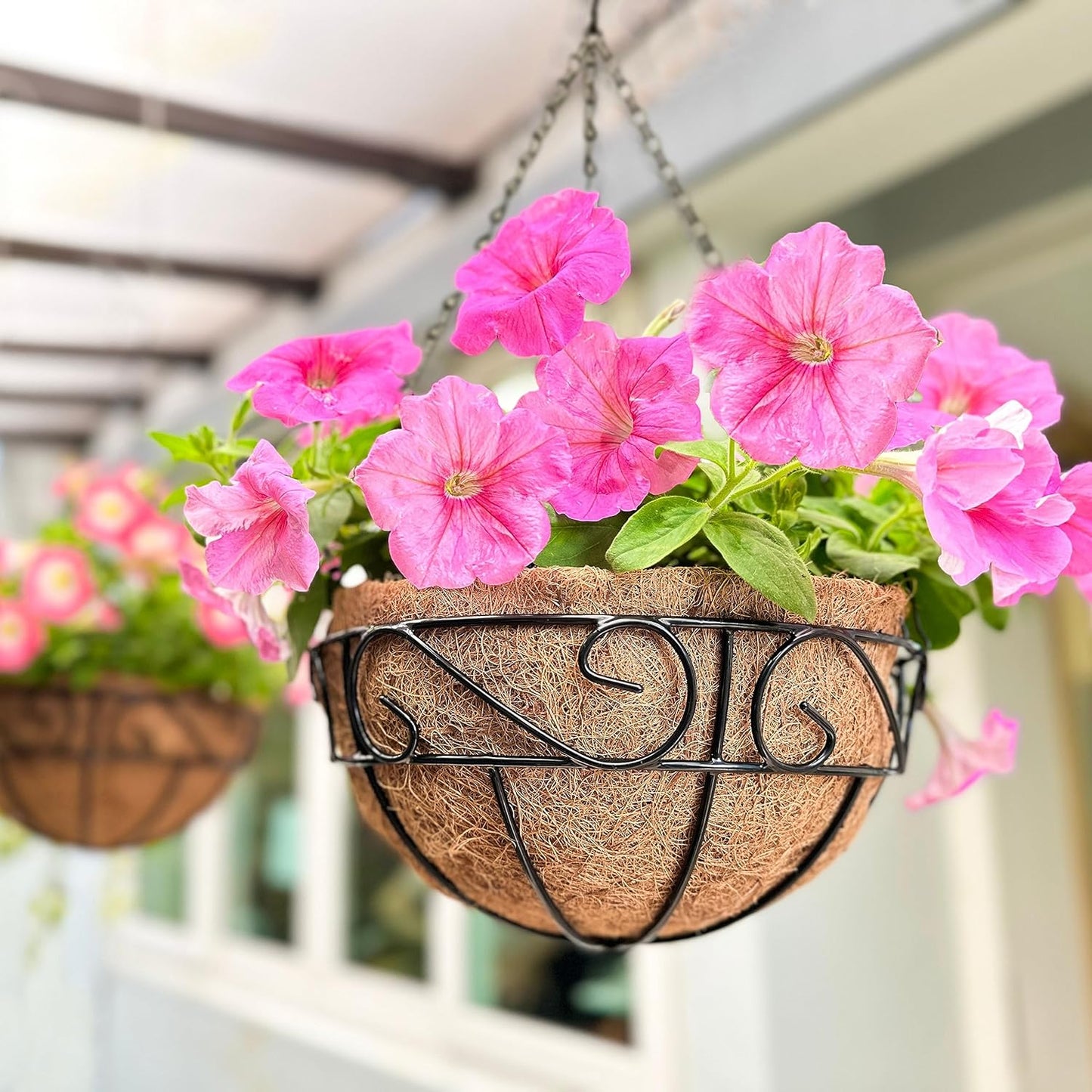 LaLaGreen Hanging Planter for Outdoor Plants (12 Inch, 2 Pack) Hanging Baskets with Coco Liner, Black Metal Wire Flower Basket Pots with Hook Hanger Balcony Porch Farmhouse Country Style Garden Decor