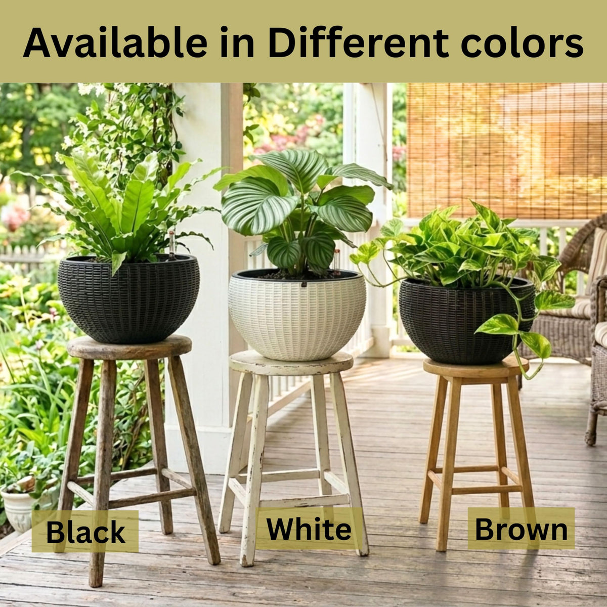 LaLaGreen Self-Watering Hanging Planters