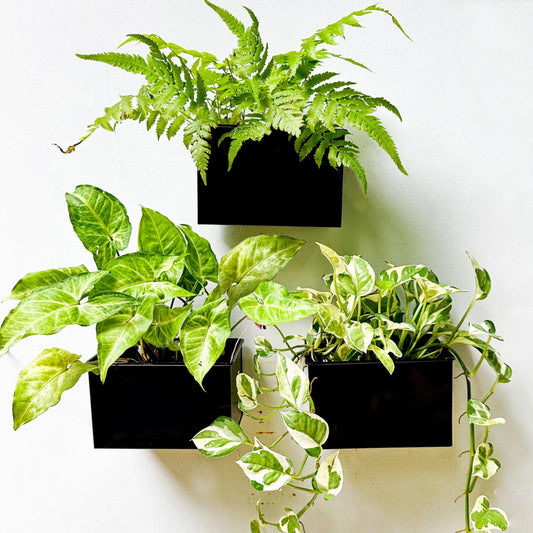 LaLaGreen Metal Wall-Mount Planter Pots