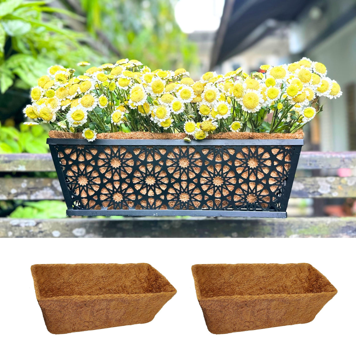 LaLaGreen Rectangular Coconut Coir Replacement Liners for Wall Planters