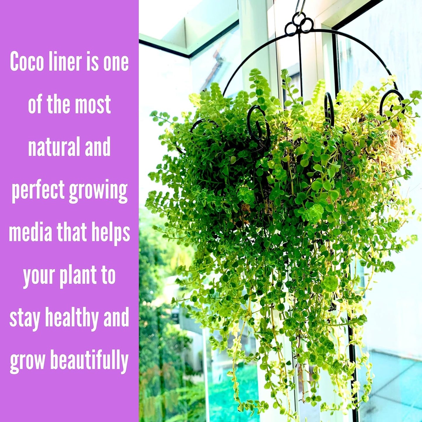 ShopLaLa Wall Planters Outdoor Plants (10 Pack, 10 Inch) Balcony Planters Railing Hanging Fence Planter Over Railing with Coco Liner, Wall Mounted Flower Basket Metal Wire Deck Porch Patio Garden