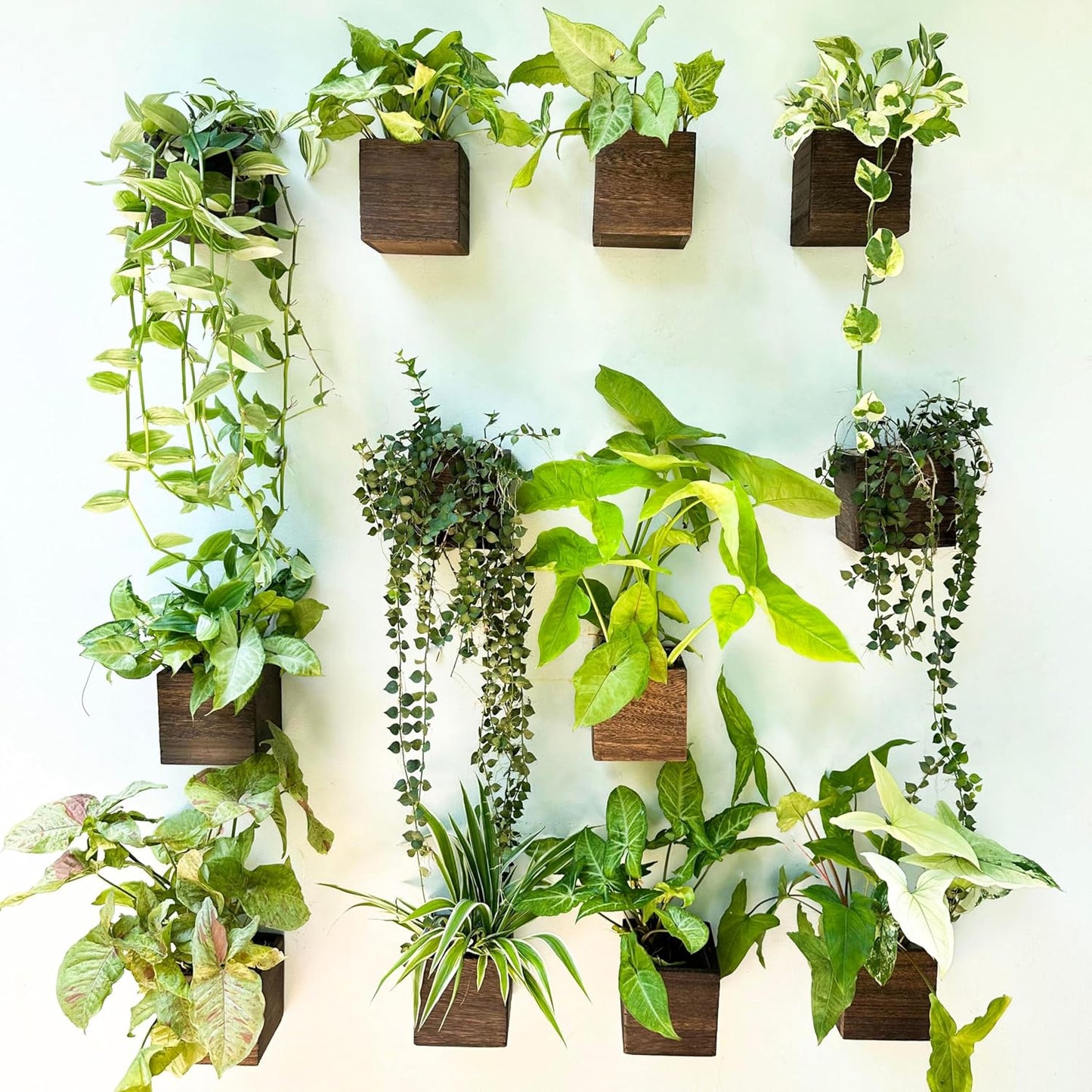 LaLaGreen Wooden Planter Box for Plants (2 Pack, 4x4 Inch) Small Square Wall Planters for Indoor Plant, Natural Wood Hanging Flower Pot Boxes Table Centerpiece Herb Balcony Home Garden Office Decor