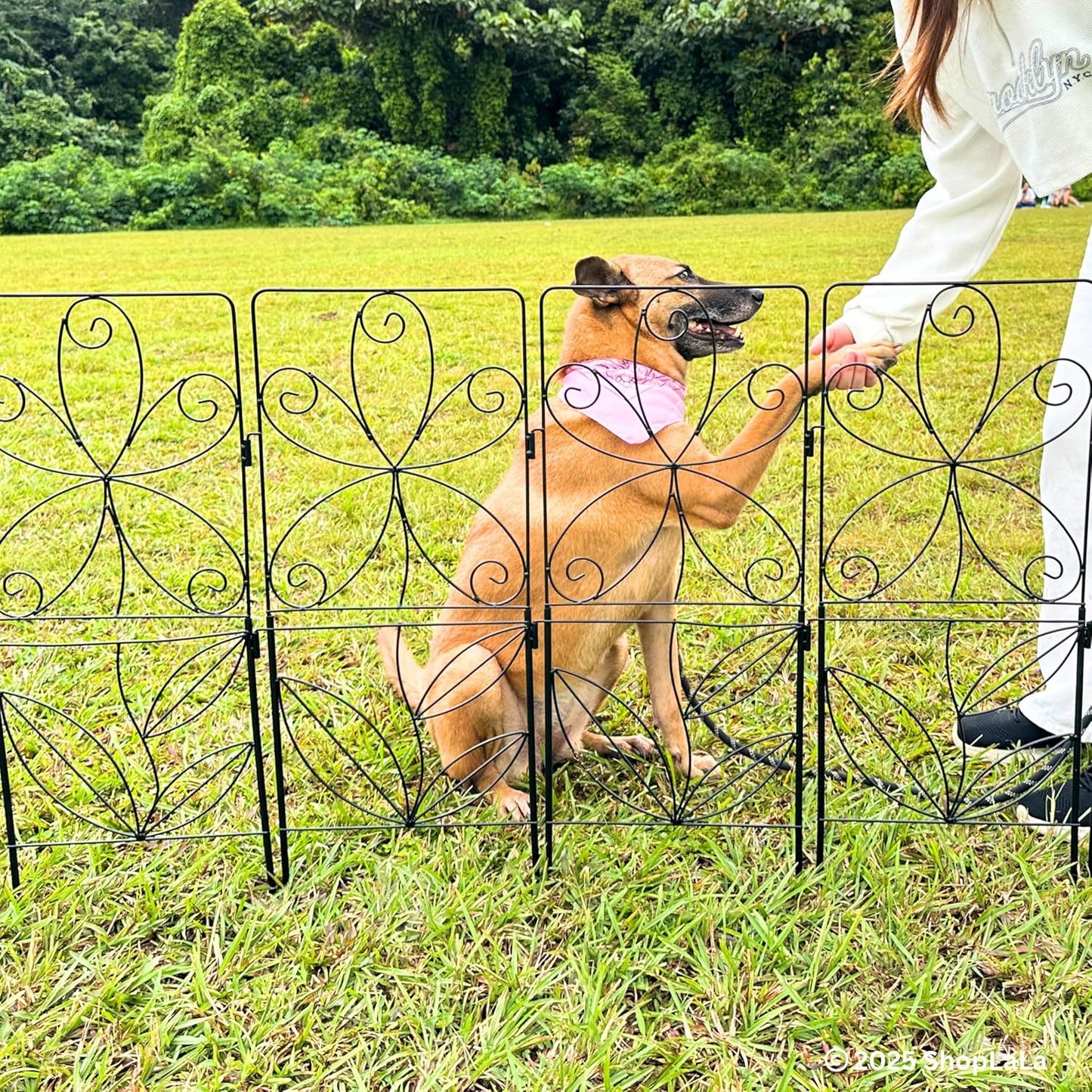 ShopLaLa Decorative Garden Fence (10 Panels) 12.5in(L) x 31in(H) Animal Barrier Fencing Rustproof Black Metal Wire Flower Edging for Landscape, Small Dog Fences Large No Dig Outdoor Yard Border D-F30C