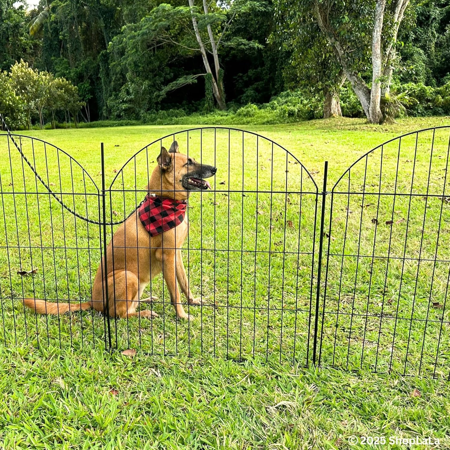 ShopLaLa Decorative Garden Fence (6 Panels) 28in(L) x 32in(H) Rustproof Black Metal No Dig Fences Small Dog Animal Barrier, Flower Edging for Landscape Large Tall Fencing Outdoor Garden Decor D-YA32