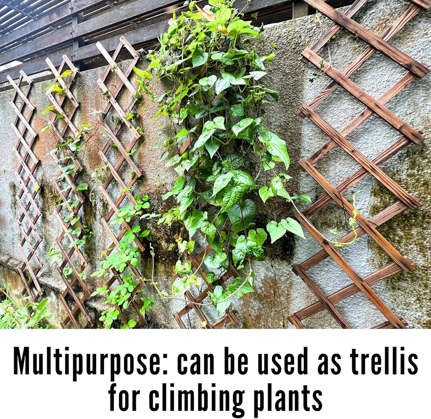 ShopLaLa Garden Fence- 2 Pack, Total 12ft (L) Wooden Lattice Flower Edging for Yard Lawn Landscape Patio Outdoor Decor, Expandable Plant Garden Trellis, Animal Barrier Fence No Dig Panel for Small Dog