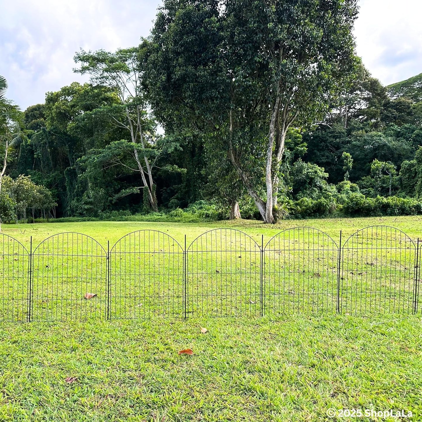 ShopLaLa Decorative Garden Fence (6 Panels) 28in(L) x 32in(H) Rustproof Black Metal No Dig Fences Small Dog Animal Barrier, Flower Edging for Landscape Large Tall Fencing Outdoor Garden Decor D-YA32