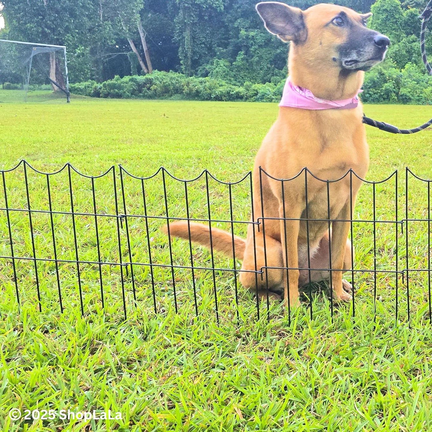 ShopLaLa Decorative Garden Fence (20 Panels) 12in(L) x 16.5in(H) Black Metal Wire Rustproof Animal Barrier Small Fences, Flower Edging for Landscape Patio Outdoor Decor, Yard Pet Gate No Dig D-H16.5