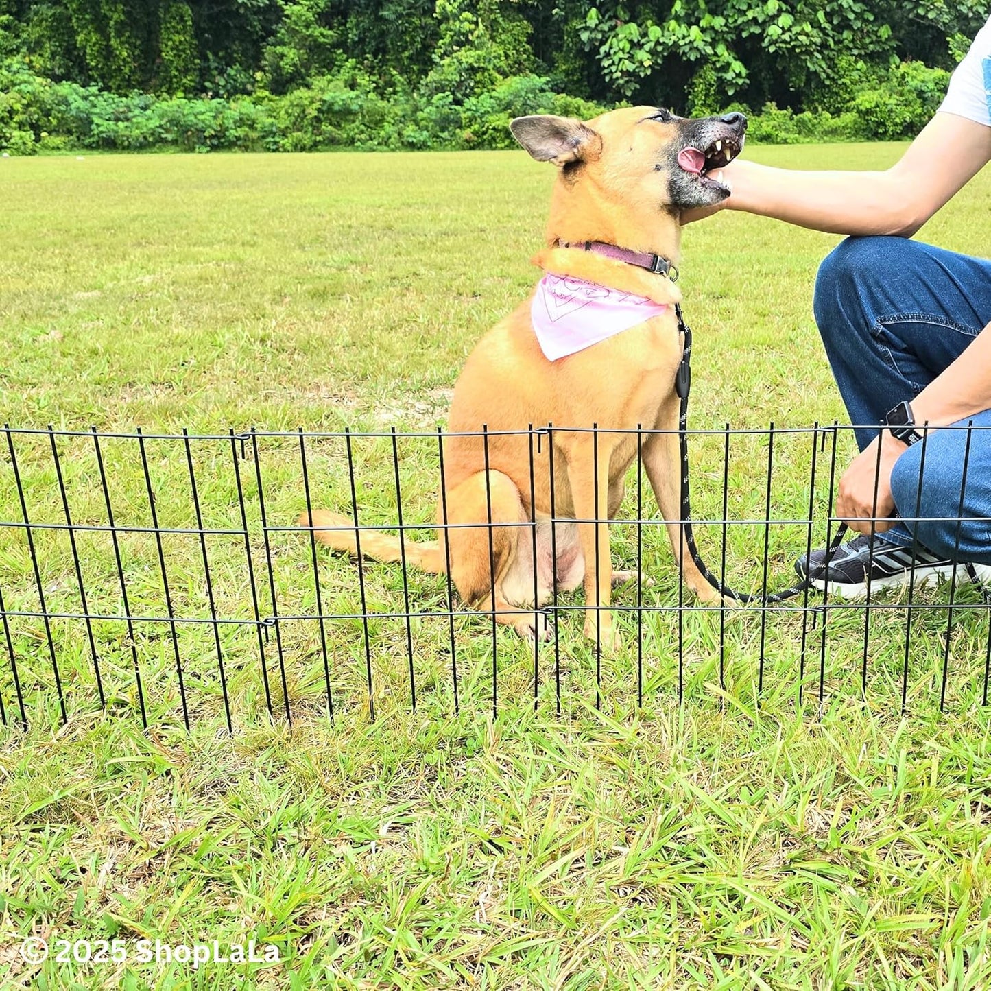 ShopLaLa Garden Fence (10 Panels) 12in(L) x 16.5in(H) Rustproof Metal Wire Animal Barrier Fence Flower Edging for Landscape Patio Outdoor Decor, Small Dog Fences for the Back Yard No Dig Black D-L16.5