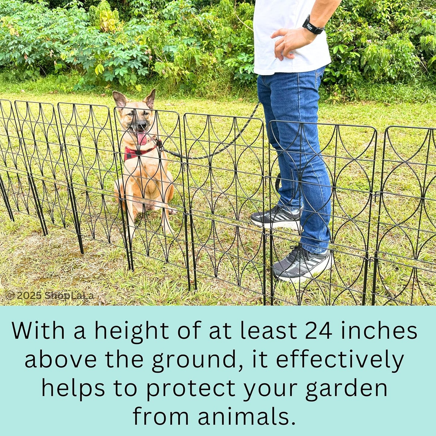 ShopLaLa Decorative Garden Fence (10 Panels) 12.5in(L) x 31in(H) Animal Barrier Fencing Rustproof Black Metal Wire Flower Edging for Landscape, Dog Gates Fences Tall Large No Dig Outdoor Border D-F30D